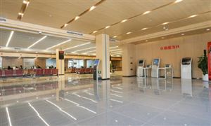 旋挖钻机行业深度调研报告2024(图3)