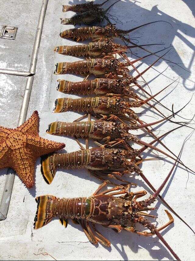 古巴人的生活水平已经达到什么程度了？(图20)