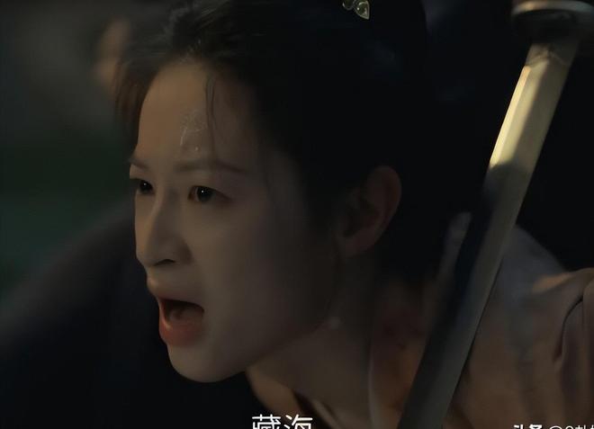《藏海传》40集结局：第三人赵秉文殒命高明牺牲藏海辞官归隐(图21)