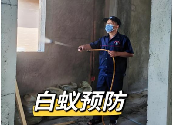 长沙白蚁消杀治理长沙白蚁防治中心上门服务电话 附近灭(图1)