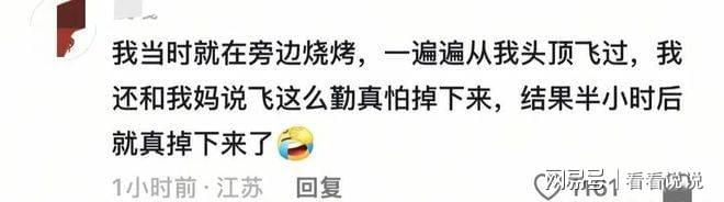 直升机坠落撕开低空旅游资质漏洞(图3)