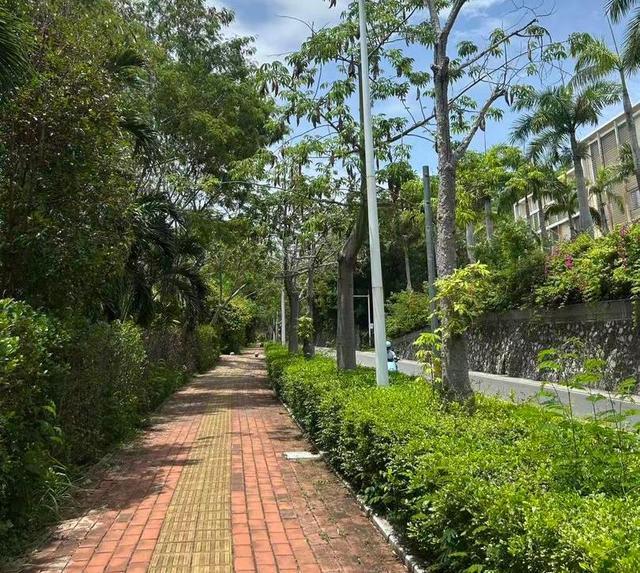 男友还原女子在三亚被蛇咬身亡过程(图2)