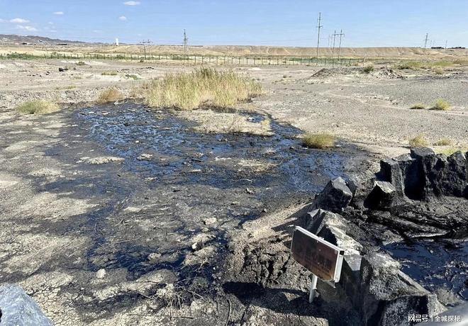 我国罕见的北水南调工程！20年调水近100亿m³石油城变园林城市(图1)