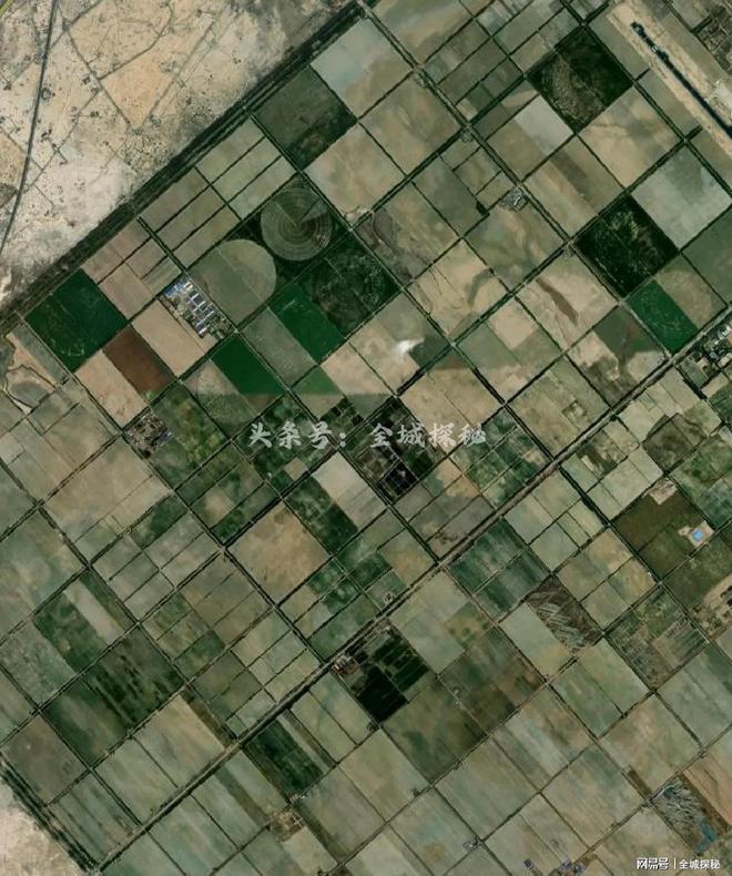 我国罕见的北水南调工程！20年调水近100亿m³石油城变园林城市(图19)