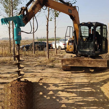 世界蚊子日：曾罕见的基孔肯雅热正以破纪录速度全球传播(图1)