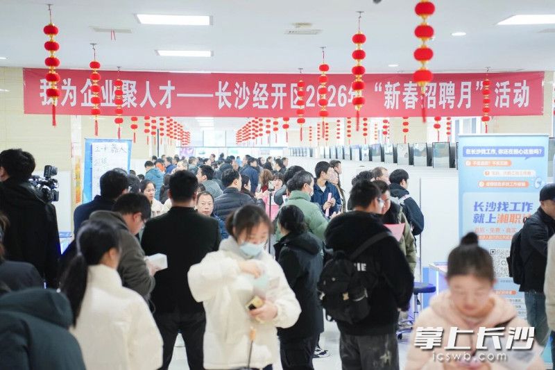 规工总产值同比增长87%长沙经开区一季度跑出“开门红”加速度(图3)